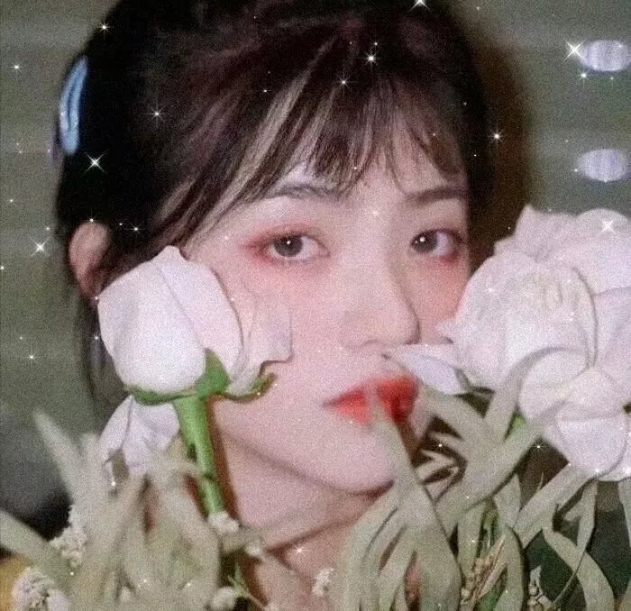 红翼