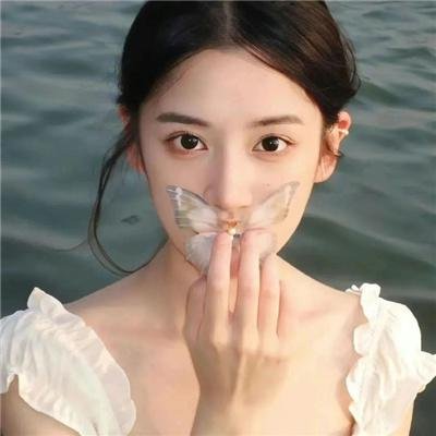 境界战机第二季