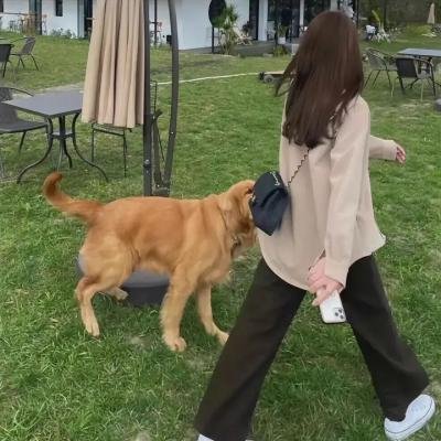 快枪查理